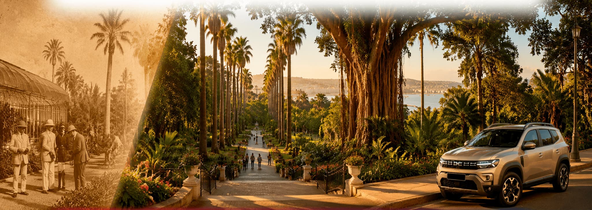 Jardin d'Essai du Hamma à Alger : horaires, prix et conseils de visite (2026)