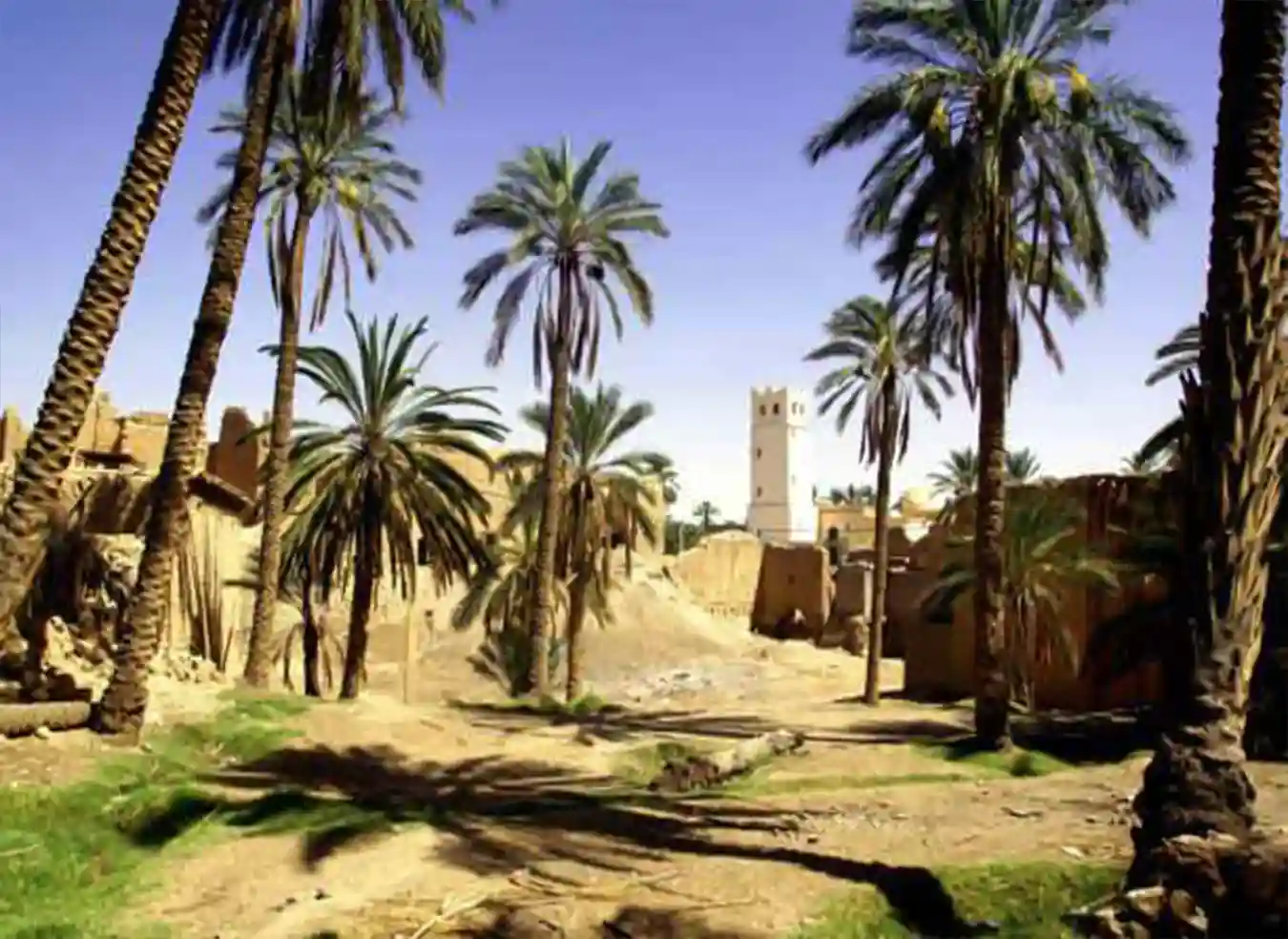 Biskra, Nature And Landscapes