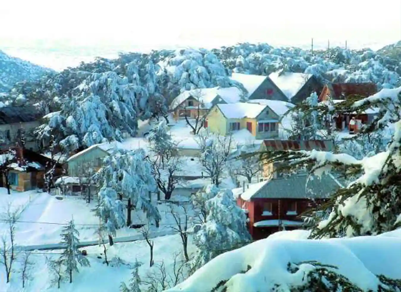 Chréa National Park (Blida)