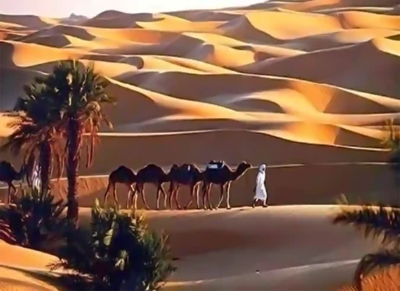 الأغواط، الطبيعة والمناظر الطبيعية