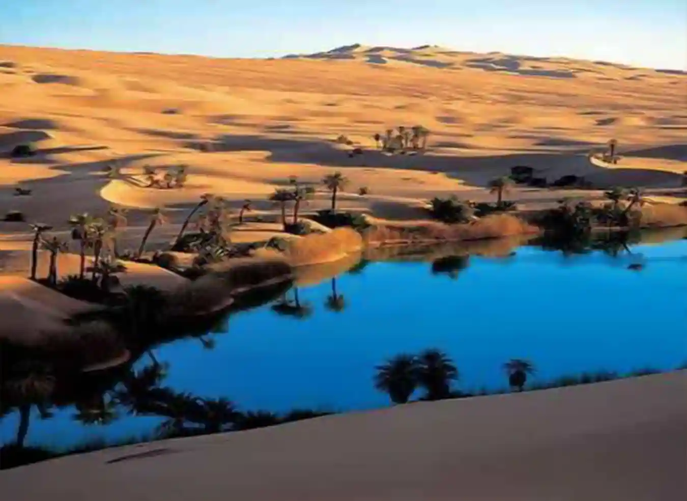 Ouargla, Nature And Landscapes