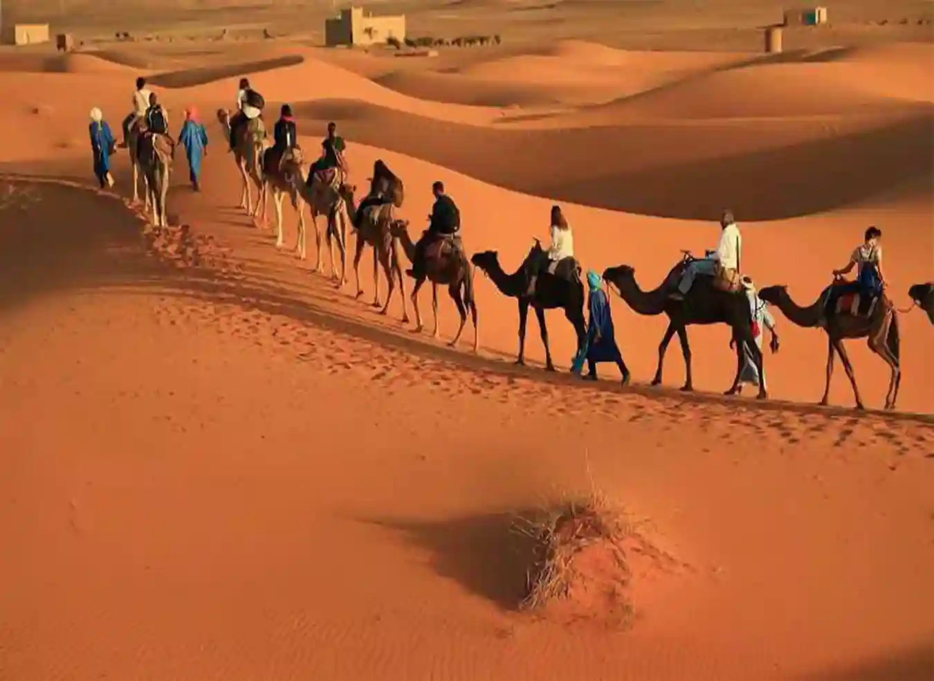 Taghit, Nature And Landscapes